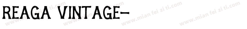 Reaga Vintage字体转换